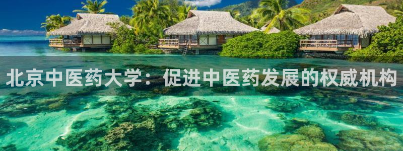 j9九游会登录入口首页新版