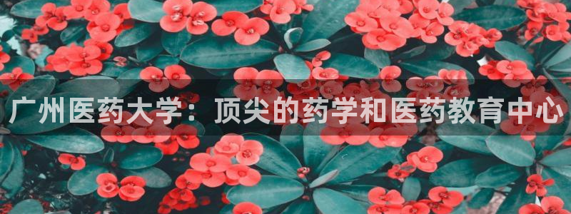 九游会集团菲律宾