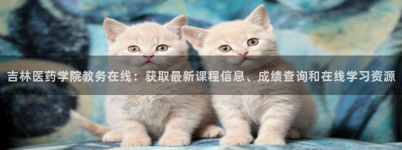 j9九游会老哥俱乐部八戒