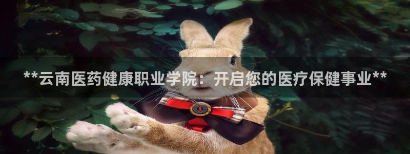 9游会app下载