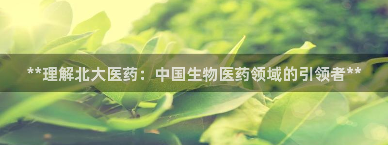 j9九游会网址是什么