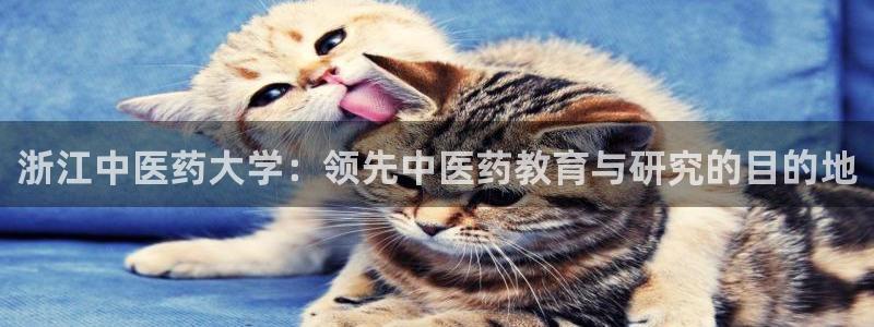 九游会视讯网站