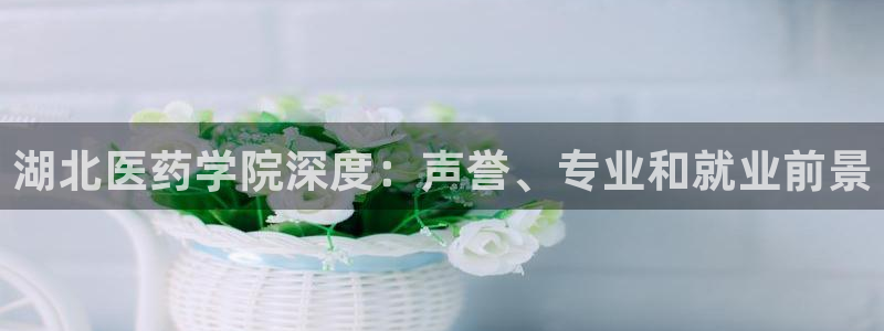 九游会app官方下载