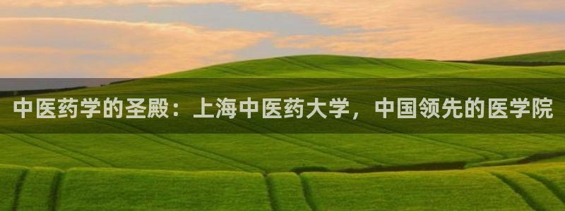 九游j9国际