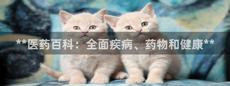 九游会agj9