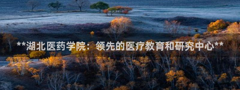 九游会真假