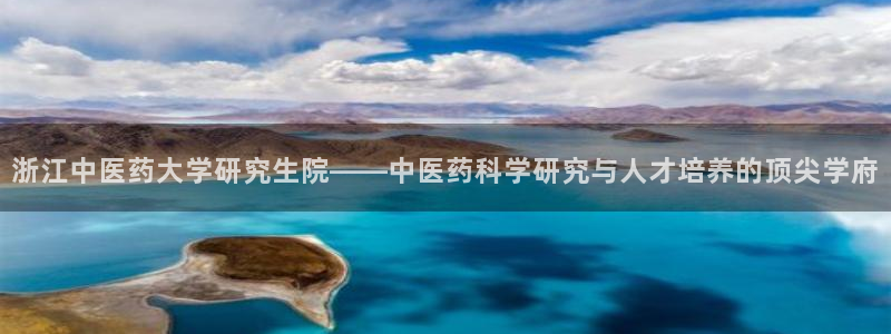 ag改九游会