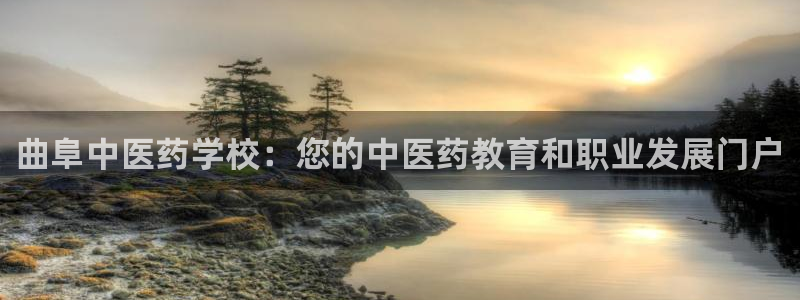 J9九游会九游国际版