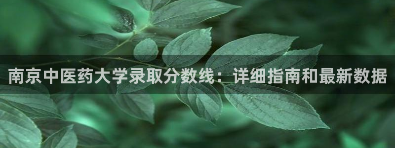 九游会官网j9