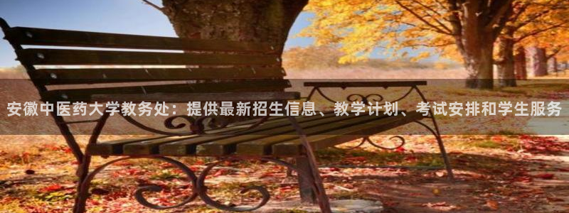 九游j9登陆