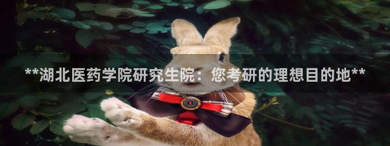 九游j9登陆