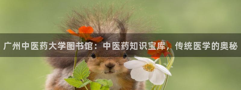 九游会ag首页