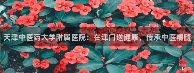 九游会ag登入