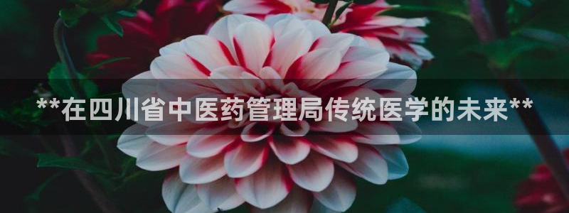 九游会j9官方登录入口