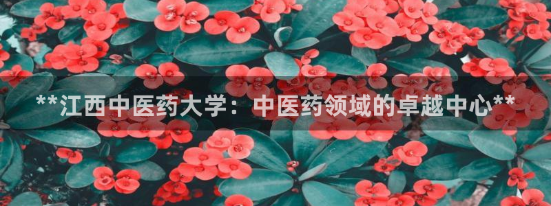 九游会登不上