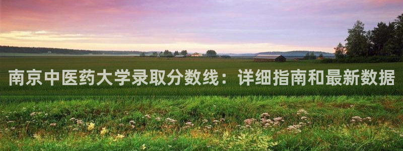 九游会平台最强