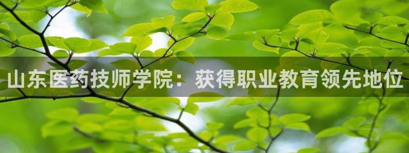 九游会ag登录j9
