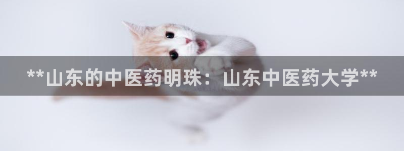 九游会.com