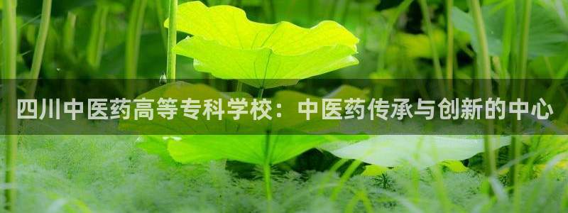 九游会ag真人官网ios