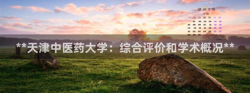 九游会是干嘛的