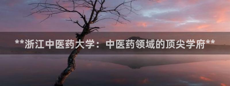 j9九游会真人手机版