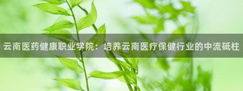 ag手游俱乐部