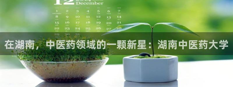 九游会官方在线平台