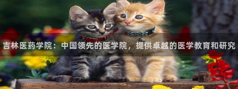 九游会app官方下载
