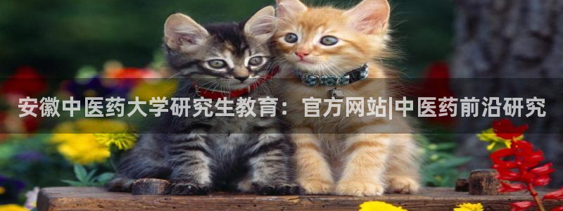 九游会口碑怎么样