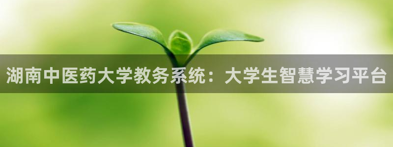 登陆九游会