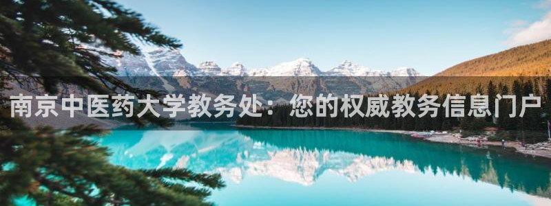 九游会客户端官网