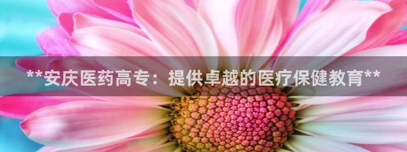ag九游会vip8
