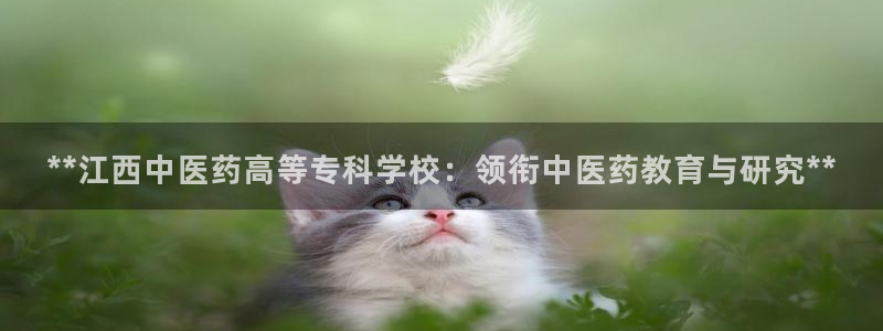 j9九游会不出款