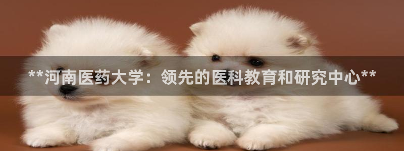 九游会网址登录不上