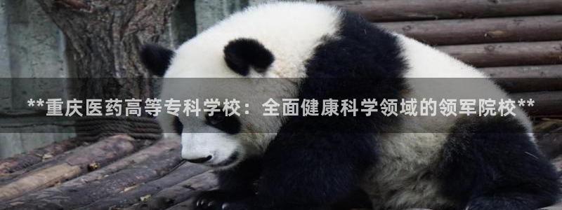 九游会官方选网址是j9.cm