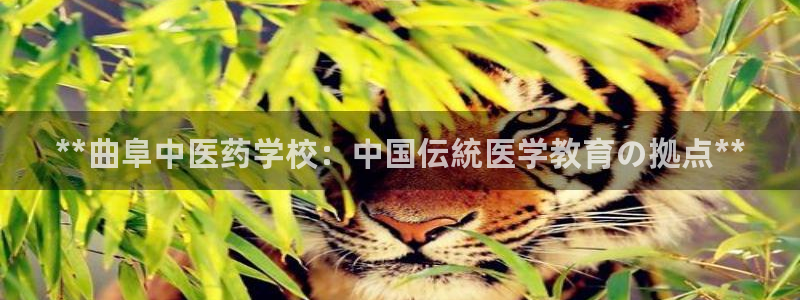 九游会官方在线
