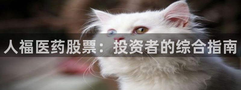 九游会网址是什么
