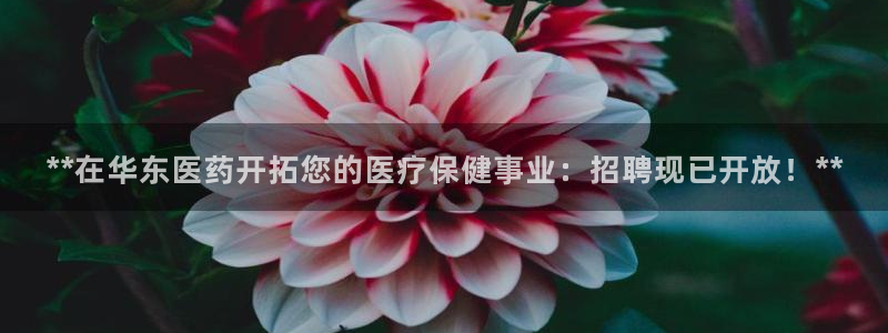 九游会网页版登录