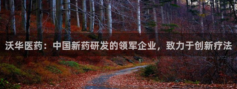 九游会是干嘛的游戏