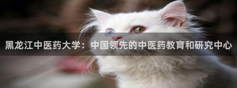J9九游会老哥俱乐部官方
