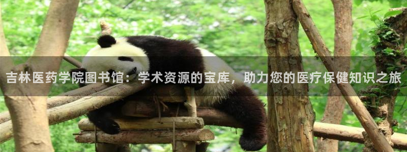 J9九游会网站