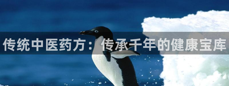 9游会登录地址