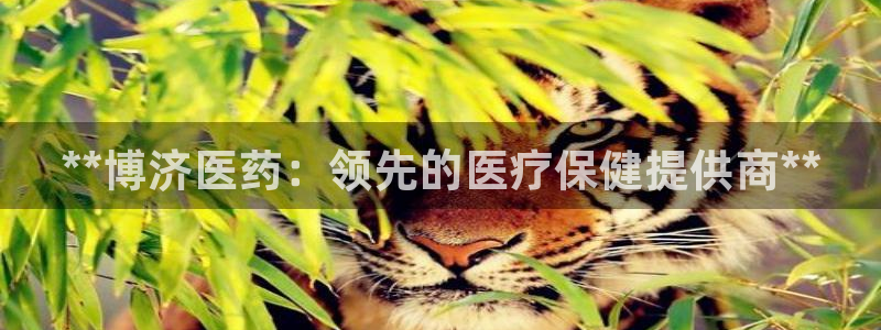 九游会集团国际