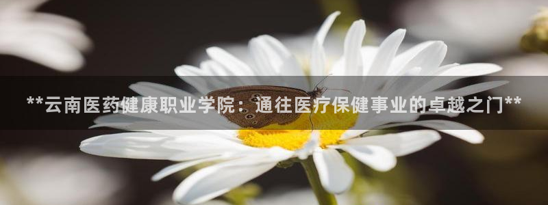 九游j9
