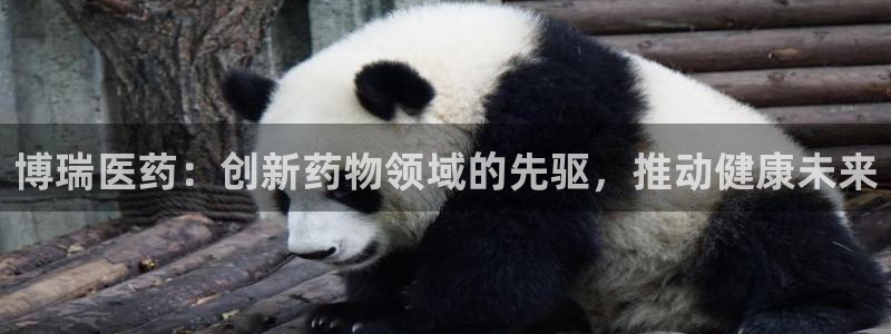 九游会官网入口首页