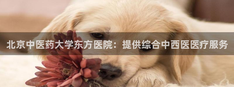 九游会官网登录AG