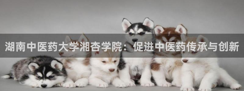 九游会老哥必备的交流社区九
