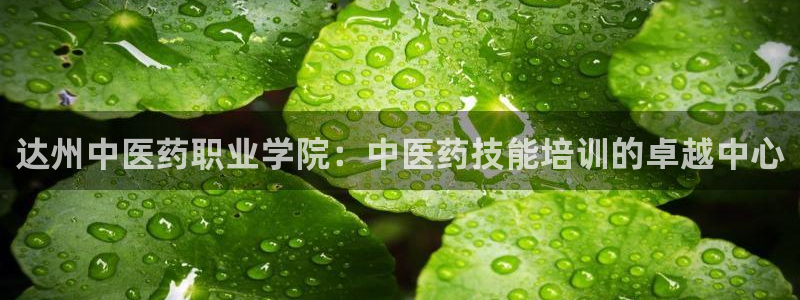 九游会官网真人认证吗安全吗