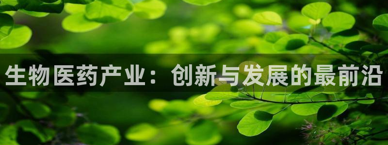 九游会j9官方登录入口