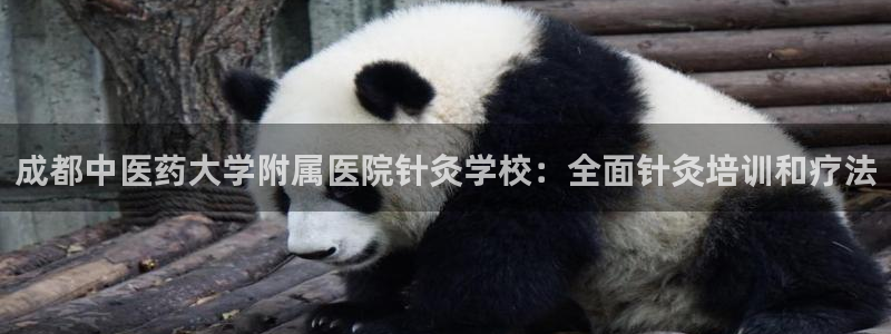 ag九游官网登录